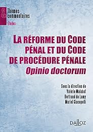 La  réforme du Code pénal et du Code de procédure pénale, Opinio doctorum