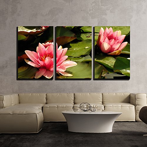 Pink Water Lilies - Modern Home Decor Framed