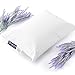 Lincove Toddler Pillow - Pure White 100% Cotton Shell 13”X18” Kids Sleeping Pillow - Machine Washable - Hypoallergenic - Made in USA