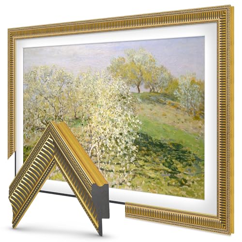 Samsung The Frame TV Deco Frame