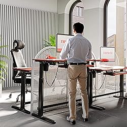 Truweo Adjustable Electric Standing Desk – 50 x