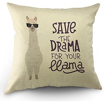 Llama Pillow Case Cute Alpaca with Glasses with Lettering Quote Save The Dream for Your Llama Throw Pillow Case 18