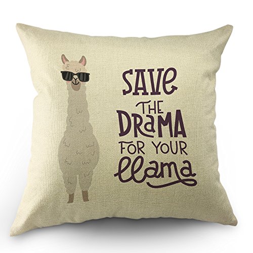 Llama Pillow Case Cute Alpaca with Glasses with Lettering Quote Save the Dream For Your Llama Throw Pillow Case 18