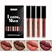 Matte Liquid Lipstick Set, Qibest 4 Colors Waterproof Long Lasting Nude Lipsticks Non-Stick Cup Lip Gloss(Kit 4)
