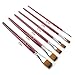 Libaks Adults and children Art Paint Brush Set - 6 Nylon Hair Brushes for Art Painting, Face Painting -Set of 6 Quality Anti-Shedding Nylon Brushes with Secure Ferrules，Painting brush (6PCS)