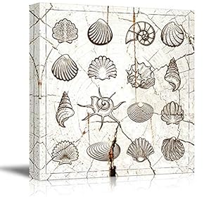 Square Various Kinds of Seashellson Vintage Wood Effect Background