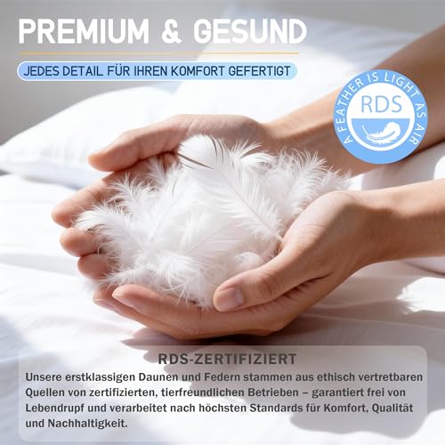 CloudÉtoile Pillow 80 x 80 cm Down Pillow Feather Pillow - Pillow 80 x 80 cm Down and Feathers Bed Pillow in Hotel Quality - 3-Chamber Down Pillow Sleeping Pillow Oeko-Tex Certified - Sleep Like on