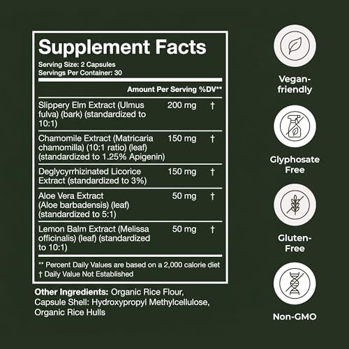 Terra Health Essentials Acid Relief - Daily Digestive Support Supplement for Gut Health & Balanced Digestion - Lemon Balm, Slippery Elm, Aloe Vera, DGL Licorice - Plant-Based & Non-GMO - 60 Capsules