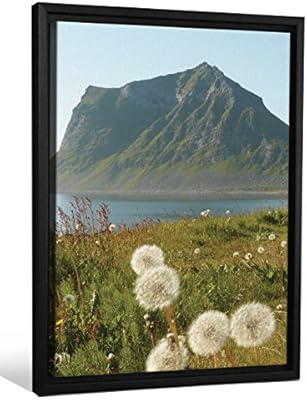 Jp London Fcnv0060 Scenic Rocky Mountain Lake View Dandelions Framed Art Wall Decor 26 37 X 20 37 X 1 25 Amazon Ae