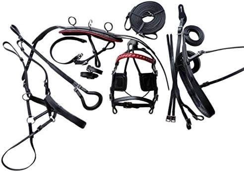 Black Leather Mini Sh Pony Driving Show Training Cart Harness with Red Trim