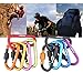 D-FantiX Aluminum D-Ring Locking Carabiner Keychain Spring Clip Lock Carabiner Hook Outdoor Camping Equipment Pack of 5