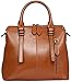 Heshe Women's Handbags Stuctured Shoulder Tote Cross Body Bags Purses for Ladies (Brown-R)