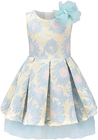childdkivy Little Girls Clothes Party Dress Toddler/Kid (10(7-8year), 71882B)