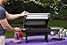 Cuisinart CGG-200 All Foods Tabletop Gas Grill, Stainless Steel