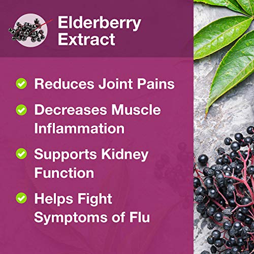 3in1 Zinc Supplement with Elderberry and Echinacea, Ionic Liquid Zinc