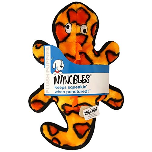 gingermari