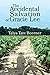 The Accidental Salvation of Gracie Lee