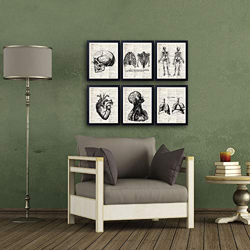 Anatomical Medical Art Vintage Book Art Print Set of 6, Unframed 8x10 Inch Human Skeleton Patent Picture