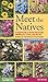 Meet the Natives: A Field Guide to Rocky Mountain Wildflowers, Trees, and Shrubs: Bridging the Gap Between Trail and Garden by 