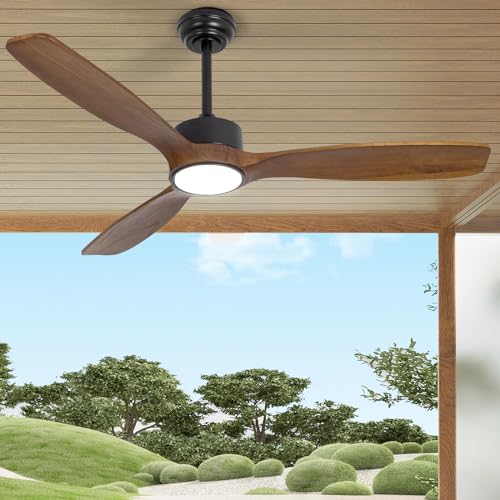 Wozzio 52 inch Indoor Outdoor Ceiling Fan with