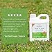Wondercide - Flea and Tick Spray Concentrate for Yard and Garden with Natural Essential Oils – Kill, Control, Prevent, Fleas, Ticks, Mosquitoes and Insects - Safe Around Pets, Plants, Kids - 32 oz