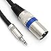 Tisino Balanced 3.5mm 1/8 Inch TRS Stereo to XLR Male Interconnect Audio Cable - 10 Feet