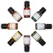 Ella Belle Top 8 Essential Oils - 100% Pure Therapeutic Grade - Sampler Gift Set Kit Includes Tea Tree, Eucalyptus, Lavender, Grapefruit, Rosemary, Lemongrass, Orange & Peppermint.