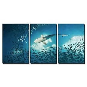 Shark and Small Fishes in Ocean Nature Background x3 Panels