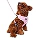 BINGPET Small Dog Harness and Leash - Soft Puppy Vest for Cat, Pink XS
