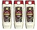 Old Spice Body Wash - Fresher Collection - Timber - Net Wt. 16 FL OZ (473 mL) Each - Pack of 3