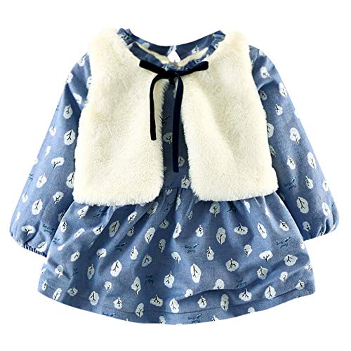 image for Kehen Infant Baby Toddler Girl Floral Faux Fur Vest Princess Dress Set