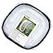 Insect and Butterfly Habitat Cage Terrarium Pop-up 12 X 12 X 12 Inches