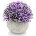 Velener Mini Plastic Artificial Pine Ball Topiary Plant with Pots for Home Decor (Purple)