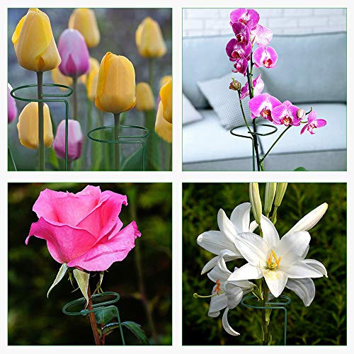 image for GROWNEER 12 Packs 36 Inches Garden Flower Support Plant Support Stakes