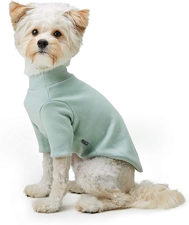 amazon dog apparel