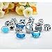 N'joy Rhinestone Birthday Charms Beads, Assorted Crystal Clap, Stoper, Dangle Pendant, Fit European Bracelet, Birthstone (16PCS Flower, March, December-Aquamarine)