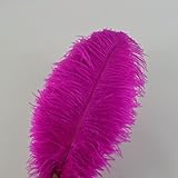 Sowder 10pcs Ostrich Feathers 12-14inch(30-35cm) for Home Wedding Decoration(fuchsia)