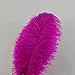 Sowder 10pcs Ostrich Feathers 12-14inch(30-35cm) for Home Wedding Decoration (Fuchsia)