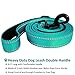 Dog Leash 6ft Long - Traffic Padded Two Handle - Heavy Duty - Double Handles Lead for Training Control - 2 Handle Leashes for Large Dogs or Medium Dogs - Reflective Pet Leash Dual Handle (Blue)