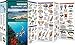 Hawaii Seashore Life: An Introduction to Familiar Species (A Pocket Naturalist Guide)