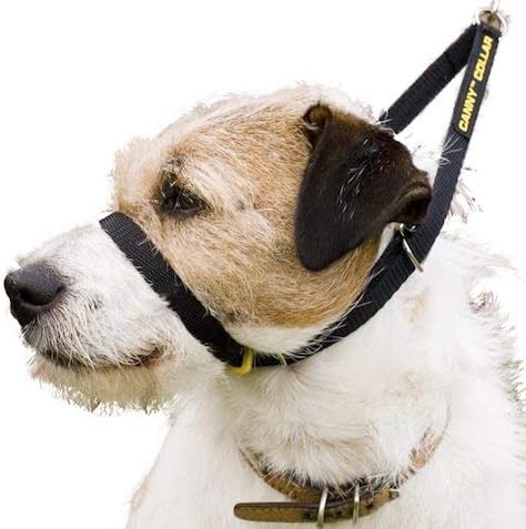 Canny Collar No-Pull Dog Collar - The Kind, Gentle Head Collar for Dogs| Dog Training Tool For Easier Dog Walking | Black - Size 1