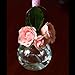 Couronne Company 6544-C Recycled Glass Ball Bottle, 8.5oz, Clear, 1 Piece