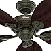 Hunter Indoor / Outdoor Ceiling Fan, with pull chain control - Bayview 54 inch, Gold, 54098