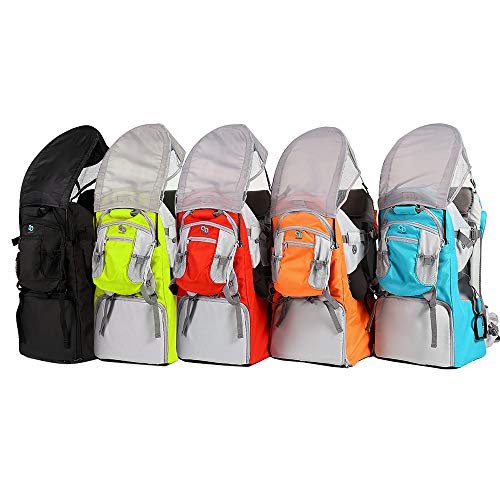 hiking backpack to carry 4 year old