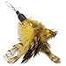 Cat Toy Feather Wand (Including 3X Feather Refills) - These Natural Feathers are Guaranteed to Drive Your Cat Wild!