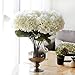Youngman 5 Heads Hydrangea Beautiful Artificial Flower Bunch Bouquet Home Wedding Decor (White) primary