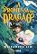 Livro A promessa do dragão (Os seis grous Livro 2)