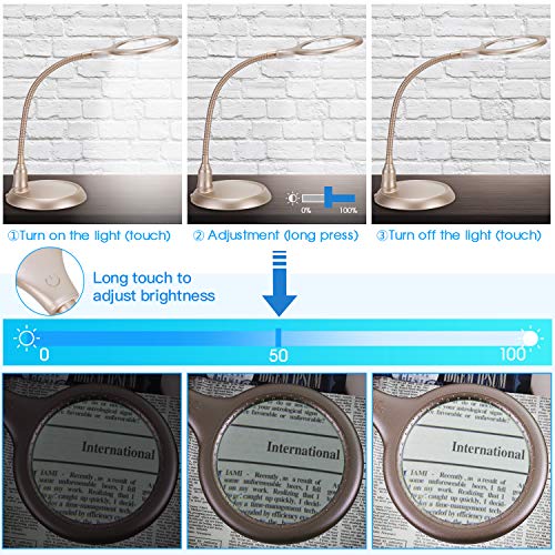 Large 5X Lighted Magnifying Glass with Light and Stand,Raweao Hands