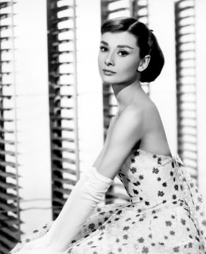 Van Eyck Audrey Hepburn Canvas print Wall Art for Living Home Decoration（12x16 inch with inner frame）