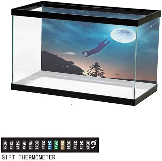 Amazon M Citron 骸骨 ガイコツ ワンピース ハロウィン 衣装 コスチューム レディース コスプレ サイズ M Xl がいこつ黒ワンピ Xl コスプレ 仮装 通販